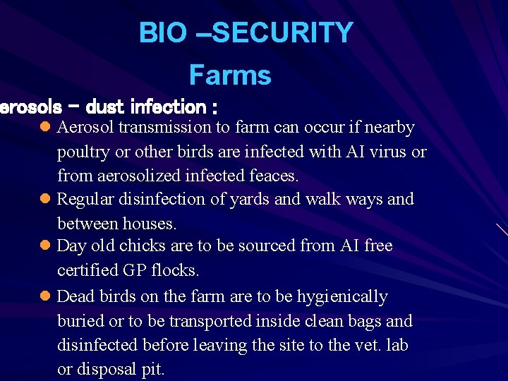 BIO –SECURITY Farms erosols – dust infection : l Aerosol transmission to farm can