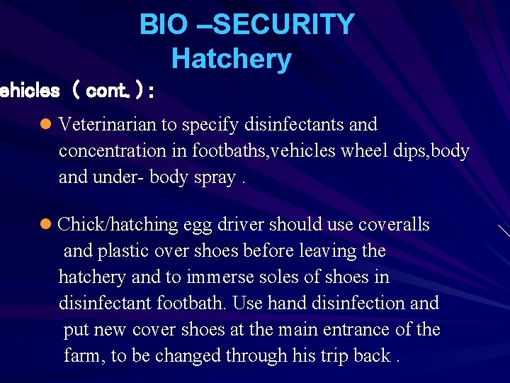 BIO –SECURITY Hatchery ehicles ( cont. ) : l Veterinarian to specify disinfectants and