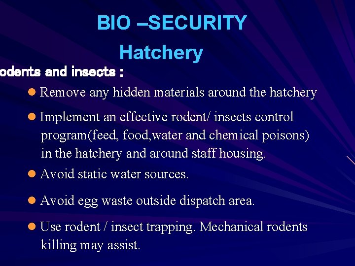 BIO –SECURITY Hatchery odents and insects : l Remove any hidden materials around the