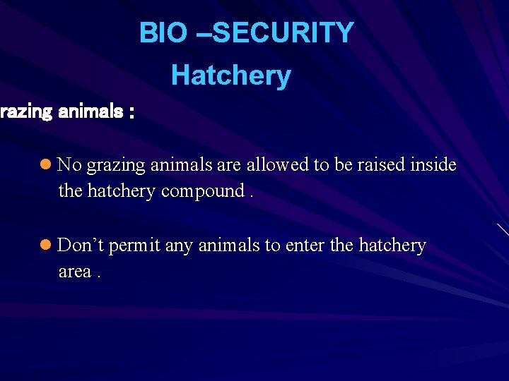 BIO –SECURITY Hatchery razing animals : Grazing l No grazing animals are allowed to