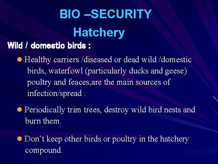 BIO –SECURITY Hatchery Wild / domestic birds : l Healthy carriers /diseased or dead