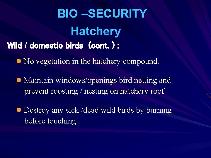 BIO –SECURITY Hatchery Wild / domestic birds (cont. ) : l No vegetation in