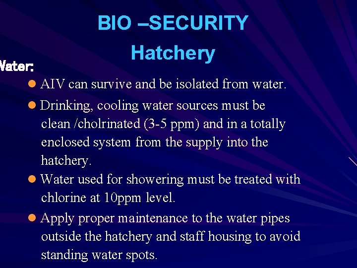 Water: BIO –SECURITY Hatchery l AIV can survive and be isolated from water. l