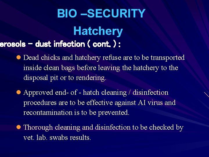 BIO –SECURITY Hatchery erosols – dust infection ( cont. ) : l Dead chicks