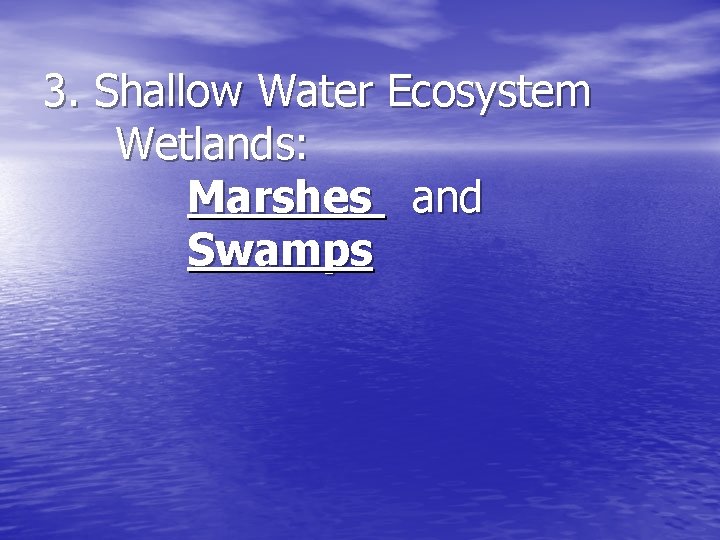 3. Shallow Water Ecosystem Wetlands: Marshes and Swamps 