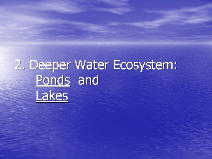 2. Deeper Water Ecosystem: Ponds and Lakes 