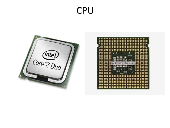 CPU 