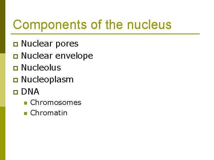 Components of the nucleus Nuclear pores p Nuclear envelope p Nucleolus p Nucleoplasm p