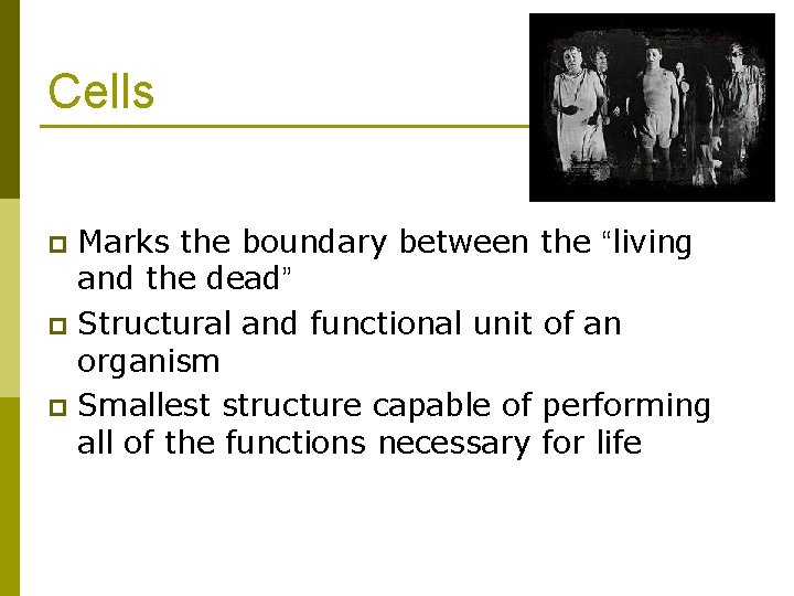 Cells Marks the boundary between the “living and the dead” p Structural and functional