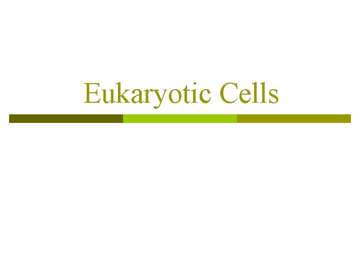 Eukaryotic Cells 