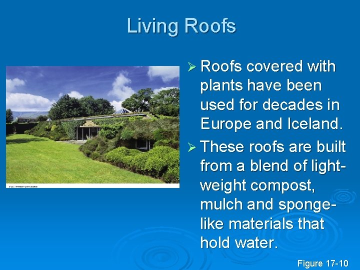 Living Roofs Ø Roofs covered with plants have been used for decades in Europe