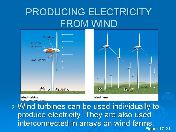 PRODUCING ELECTRICITY FROM WIND Ø Wind turbines can be used individually to produce electricity.