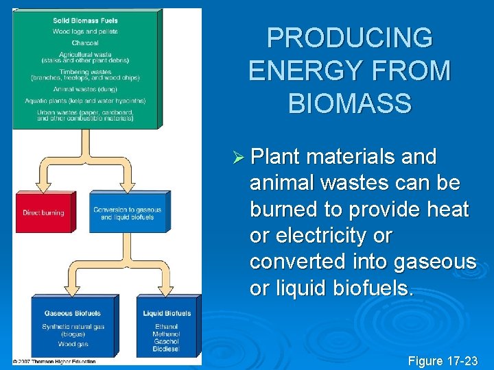 PRODUCING ENERGY FROM BIOMASS Ø Plant materials and animal wastes can be burned to