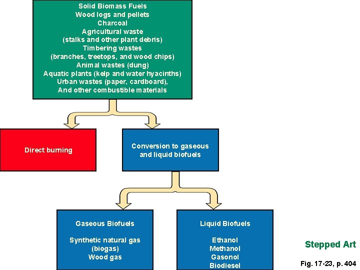 Solid Biomass Fuels Wood logs and pellets Charcoal Agricultural waste (stalks and other plant