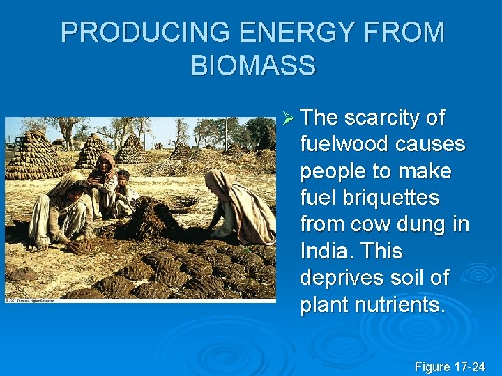 PRODUCING ENERGY FROM BIOMASS Ø The scarcity of fuelwood causes people to make fuel