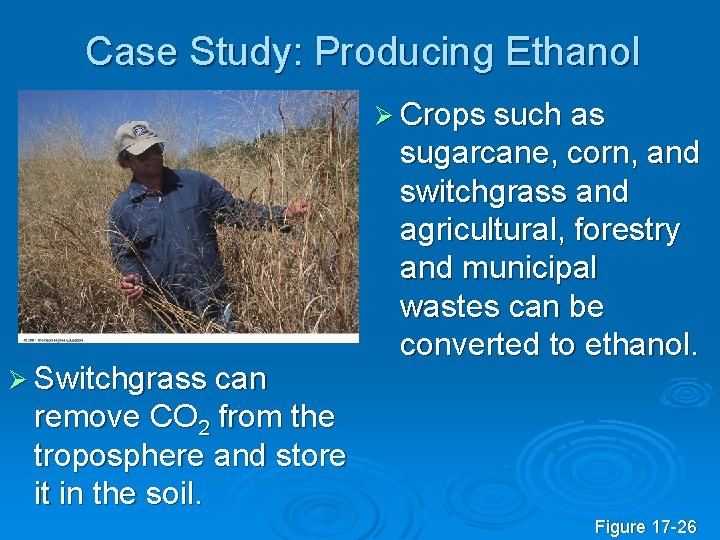 Case Study: Producing Ethanol Ø Crops such as Ø Switchgrass can sugarcane, corn, and