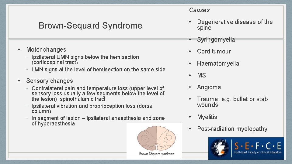 Causes Brown-Sequard Syndrome • Degenerative disease of the spine • Syringomyelia • Motor changes