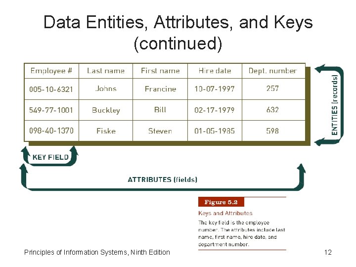 Data Entities, Attributes, and Keys (continued) Principles of Information Systems, Ninth Edition 12 