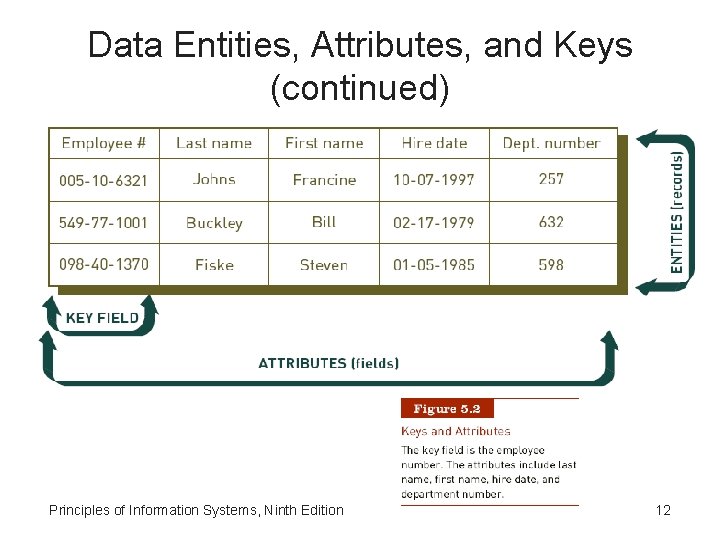 Data Entities, Attributes, and Keys (continued) Principles of Information Systems, Ninth Edition 12 Data Entities, Attributes, and Keys (continued) Principles of Information Systems, Ninth Edition 12