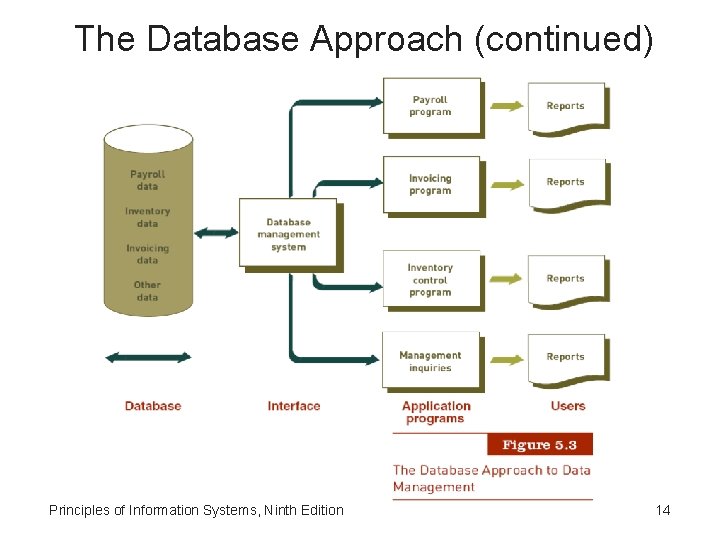 The Database Approach (continued) Principles of Information Systems, Ninth Edition 14 