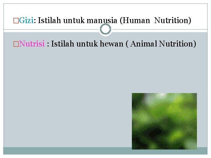 �Gizi: Istilah untuk manusia (Human Nutrition) �Nutrisi : Istilah untuk hewan ( Animal Nutrition)