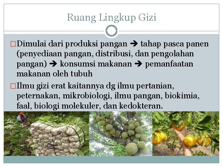 Ruang Lingkup Gizi �Dimulai dari produksi pangan tahap pasca panen (penyediaan pangan, distribusi, dan