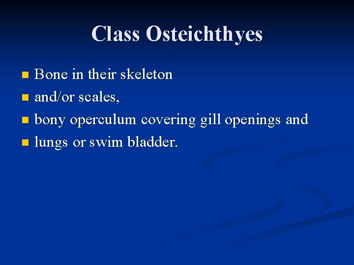 Class Osteichthyes Bone in their skeleton n and/or scales, n bony operculum covering gill