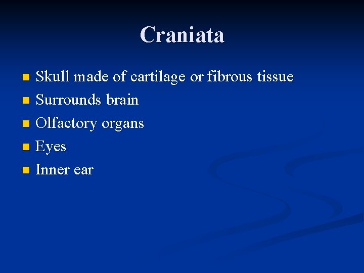 Craniata Skull made of cartilage or fibrous tissue n Surrounds brain n Olfactory organs