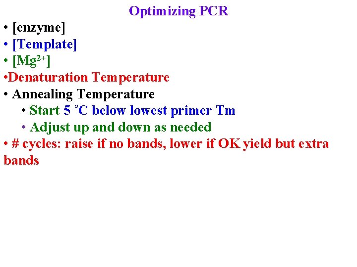 Optimizing PCR • [enzyme] • [Template] • [Mg 2+] • Denaturation Temperature • Annealing