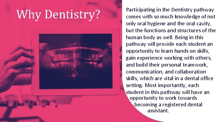 Why Dentistry? Participating in the Dentistry pathway comes with so much knowledge of not