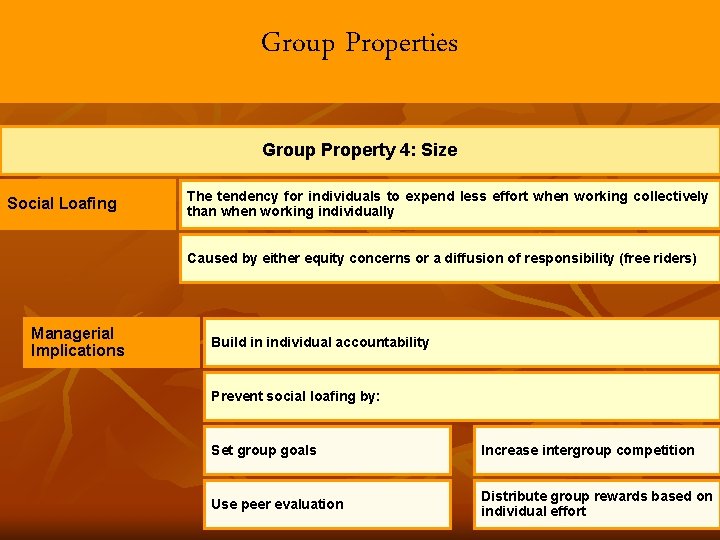 Group Properties Group Property 4: Size Social Loafing The tendency for individuals to expend