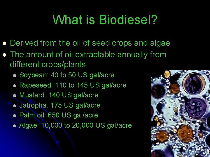 What is Biodiesel? l l Derived from the oil of seed crops and algae