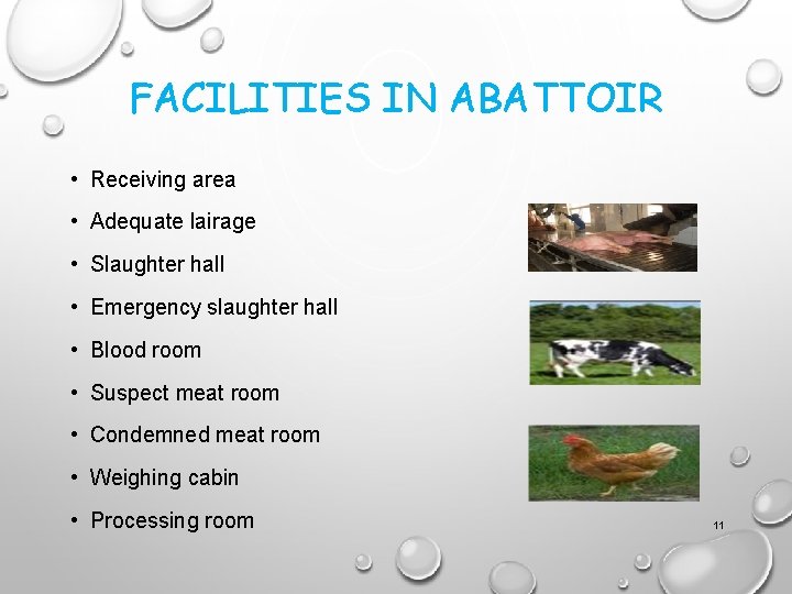 FACILITIES IN ABATTOIR • Receiving area • Adequate lairage • Slaughter hall • Emergency