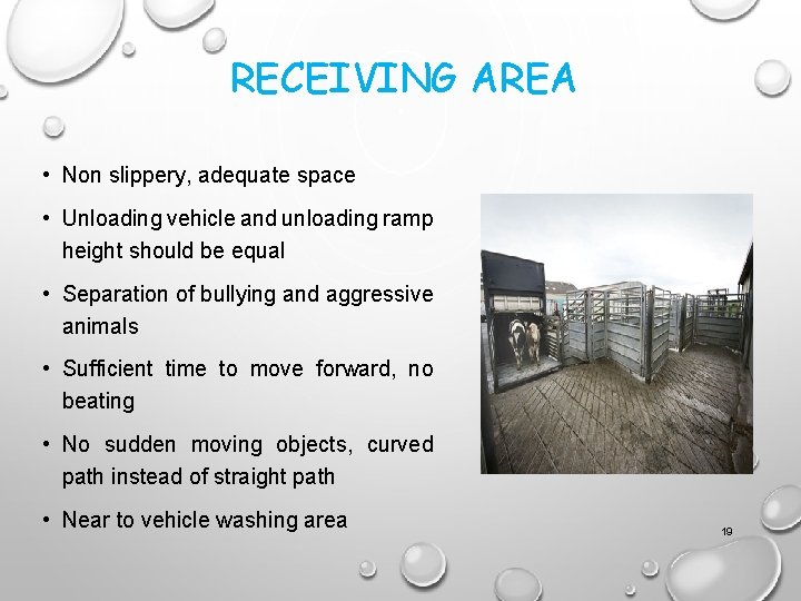RECEIVING AREA • Non slippery, adequate space • Unloading vehicle and unloading ramp height