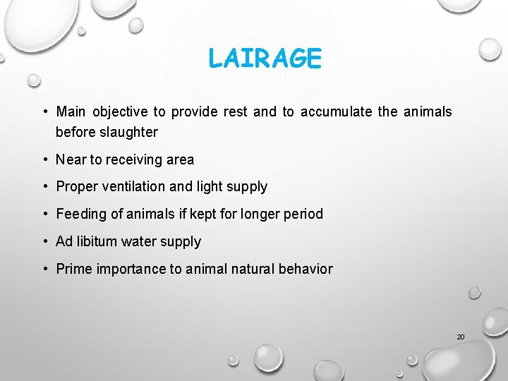 LAIRAGE • Main objective to provide rest and to accumulate the animals before slaughter