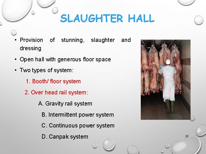 SLAUGHTER HALL • Provision dressing of stunning, slaughter and • Open hall with generous SLAUGHTER HALL • Provision dressing of stunning, slaughter and • Open hall with generous