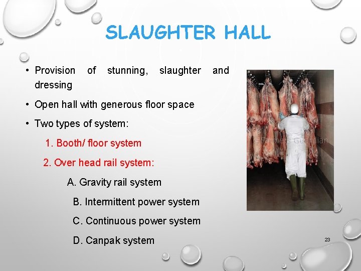 SLAUGHTER HALL • Provision dressing of stunning, slaughter and • Open hall with generous