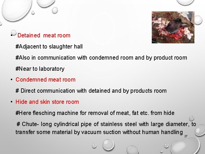  • Detained meat room #Adjacent to slaughter hall #Also in communication with condemned