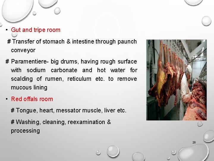  • Gut and tripe room # Transfer of stomach & intestine through paunch