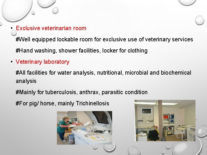  • Exclusive veterinarian room #Well equipped lockable room for exclusive use of veterinary