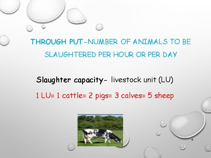 THROUGH PUT-NUMBER OF ANIMALS TO BE SLAUGHTERED PER HOUR OR PER DAY Slaughter capacity- THROUGH PUT-NUMBER OF ANIMALS TO BE SLAUGHTERED PER HOUR OR PER DAY Slaughter capacity-