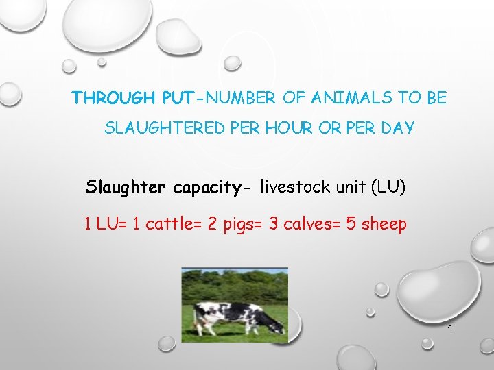 THROUGH PUT-NUMBER OF ANIMALS TO BE SLAUGHTERED PER HOUR OR PER DAY Slaughter capacity-