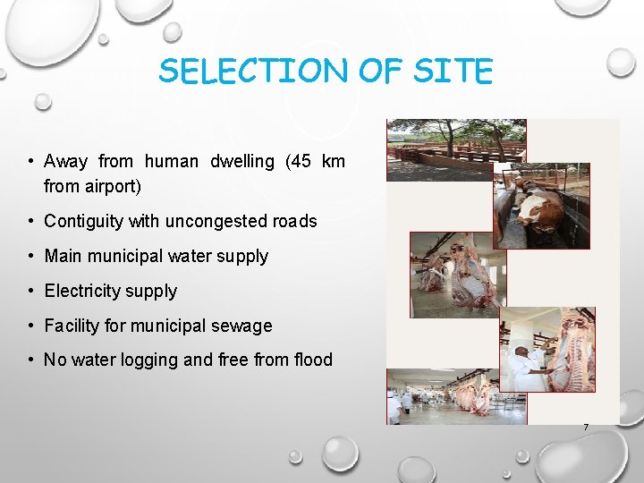 SELECTION OF SITE • Away from human dwelling (45 km from airport) • Contiguity