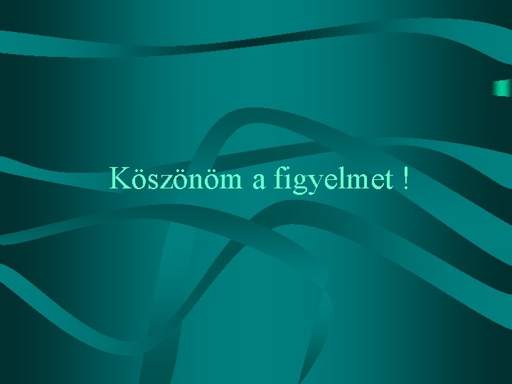 Köszönöm a figyelmet ! 