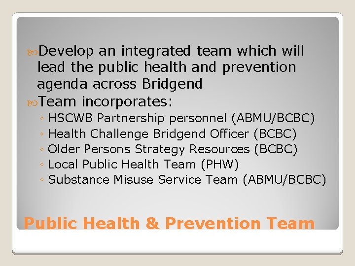  Develop an integrated team which will lead the public health and prevention agenda