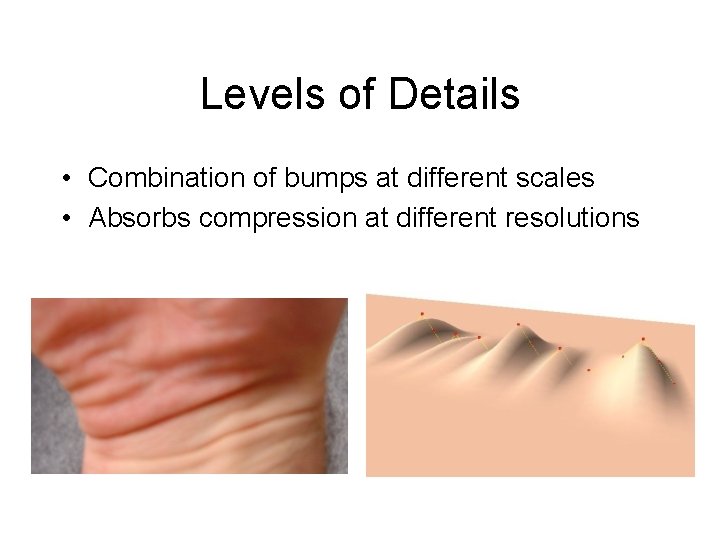 Levels of Details • Combination of bumps at different scales • Absorbs compression at