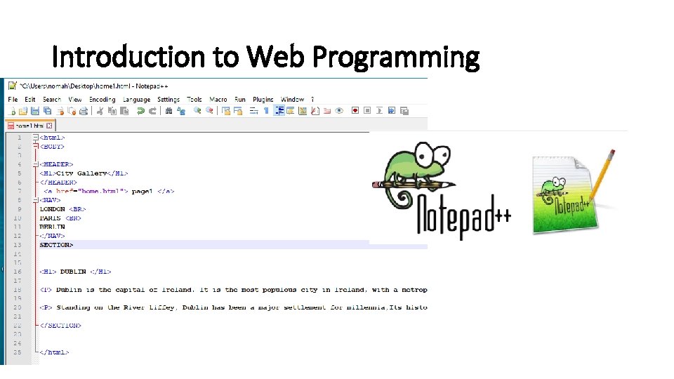 Introduction to Web Programming 