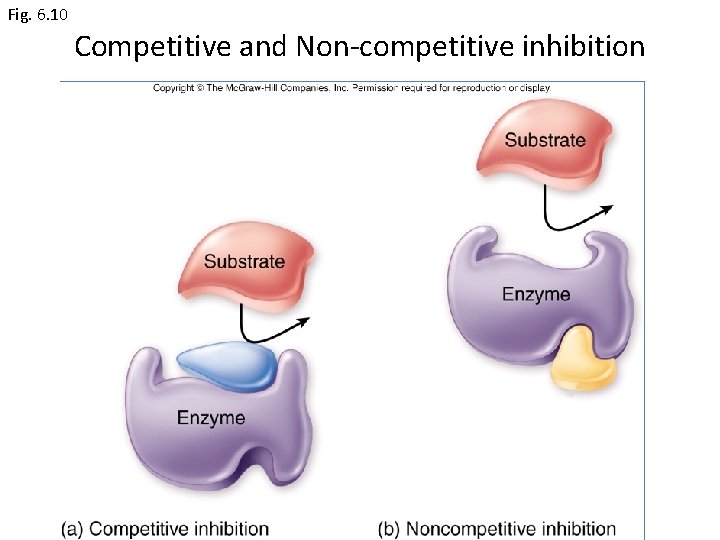 Fig. 6. 10 Competitive and Non-competitive inhibition 