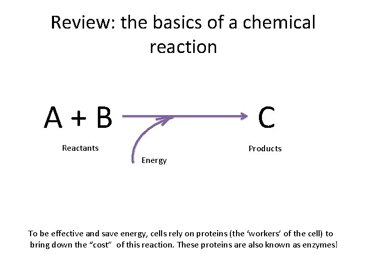 Review: the basics of a chemical reaction A+B C Reactants Products Energy To be