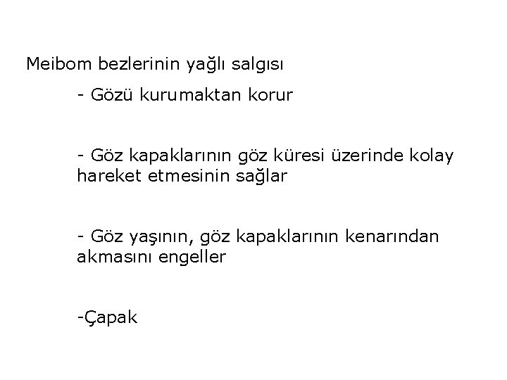 Meibom bezlerinin yağlı salgısı - Gözü kurumaktan korur - Göz kapaklarının göz küresi üzerinde